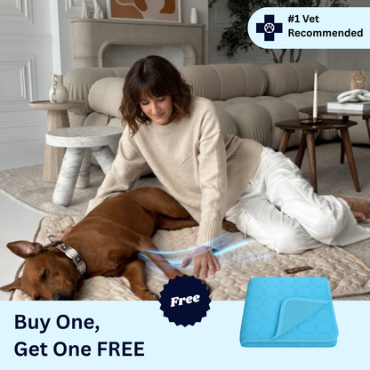 ZoomieHub Cooling Mat